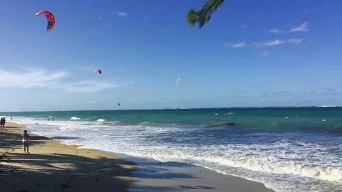 Group of Kite Surfers at a beautiful Beach Stock Footage 79733959