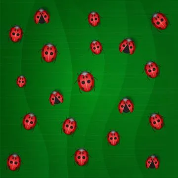Group ladybug Stock Illustration