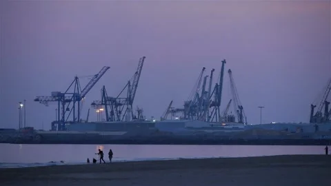 A Group Of Large Cranes In A Sea Port And People Walking On A Beach At Dusk Stock Footage 228115757