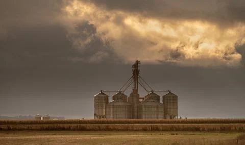 Group of large silos Stock Photos