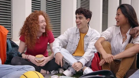 Group laughing students gathered together outdoors. Multiracial college Stock Footage 241260286