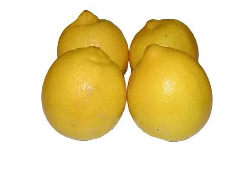 Group of lemons isolated on white background Stock-Fotos