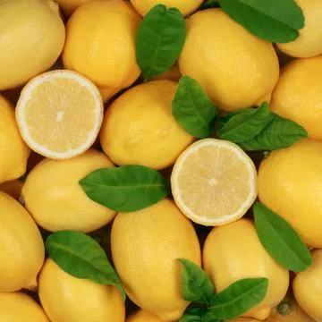 Group of lemons Stock Photos
