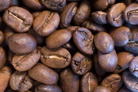 Group of Light Roasted Coffee Beans Stockfoto's