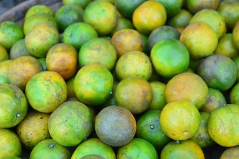 Group of Lime  background  ** note select focus with shallow depth of field:i Stock Photos