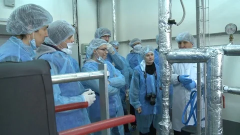 Group Listen About Technical Part of Vegetable Processing Stock Footage 79860878