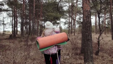 Group of little girls with backpack keep together at hiking in forest Stock Footage 76567569