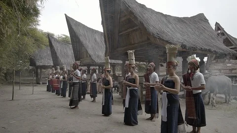 Group of local people doing tortor tandok, traditonal dance of batak Stock Footage 115878902