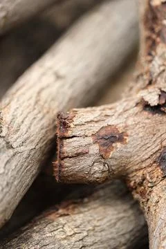 Group of Log Stock Photos