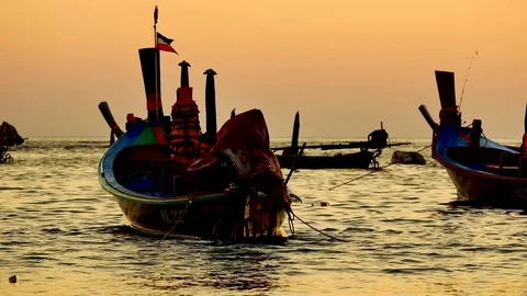 Group of  long tail boat converted to boat excursions floating in the andaman Stock Footage 84130726