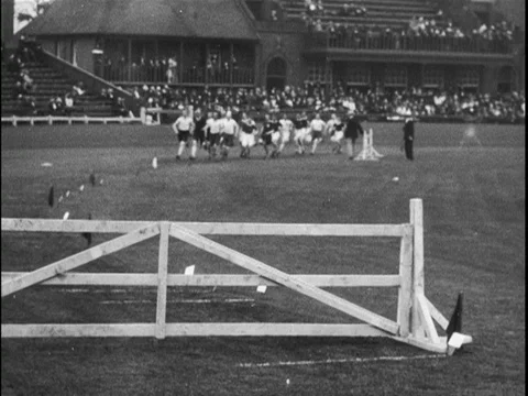 Group of man runners running on stadium with audience cheering, UK, 1902 Stock Footage 136678786