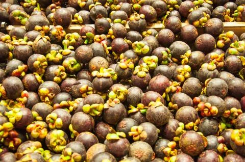 Group of mangosteen Stock Photos