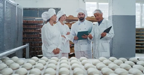 Group of manufacturing workers and engineer checking the quality of production Stock Footage 112152214