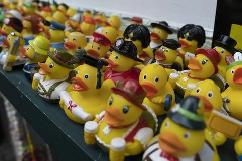 A group with many figurines rubber ducks bathing toys on a shelf with selecti Stock Photos