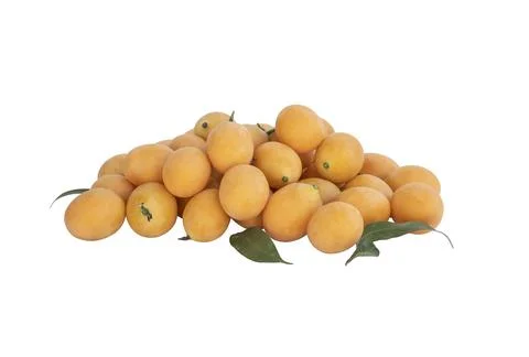 Group Maprang or Plum mangos on the white background Stock Photos
