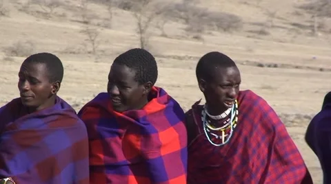 A group of masai tribesmen are dancing (close up). Tanzania Stock Footage 56343441