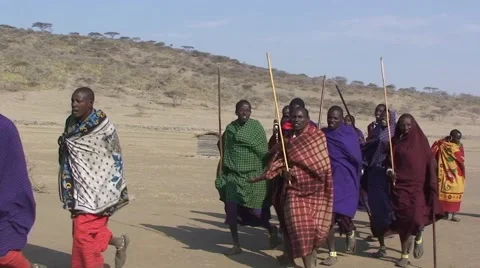 A group of masai tribesmen are dancing. Tanzania Stock Footage 56343451