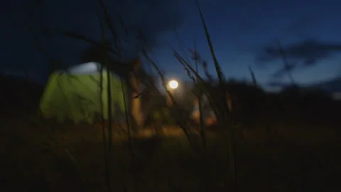 Group of men camping in the wild and gather near the bonfire and talk with each 動画素材 338039021