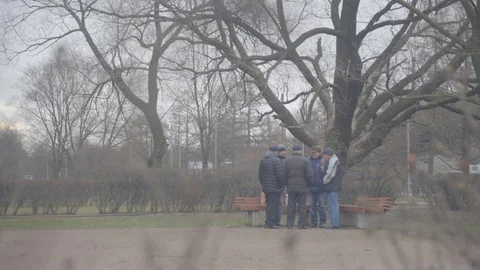 A GROUP OF MEN A MEETING IN THE YARD A LARGE TREE A BENCH Stock Footage