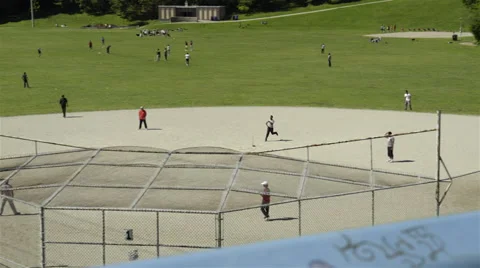 Group of men playing cricket in the park. 4K UHD. Stock Footage 51137247