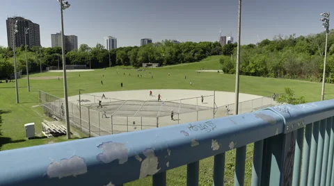 Group of men playing cricket in the park. 4K UHD. Stock Footage 51138236