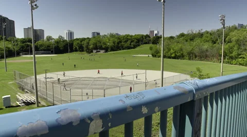 Group of men playing cricket in the park. 4K UHD. Video stock 51138538