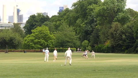 Group of men playing cricket in the park. Medium shot. London, United Kingdom. Stock Footage 215684351