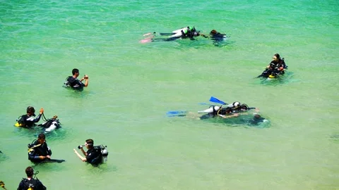 Group of men preparing for diving in beautiful beach with turquoise water Stock Footage 149766188