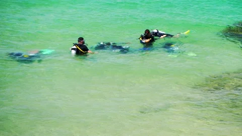 Group of men preparing for diving in beautiful beach with turquoise water Stock Footage 149766366
