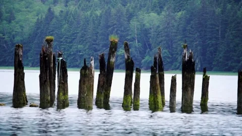 A group of men standing next to a body of water 動画素材 156015148
