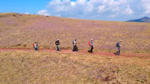 Group of men trekking on the mountain in the line Stock Footage 89026046