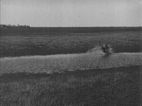 A group of  men wait hunt flying Geese - 1914 Stock Footage 95816066