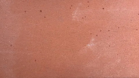 Group of mites crawl on terracotta Stock Footage 243664173
