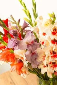 A group of mixed gladiolus flowers in shades of red, white, yellow, and purpl 스톡 사진