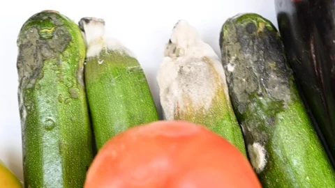 Group of moldy rotten vegetables Stock Footage 111284805