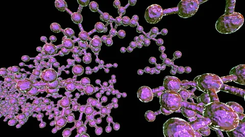 Group of Molecule DNA Stock Footage 52121670