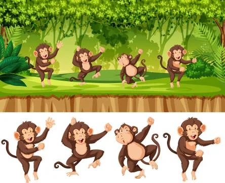 Group of monkey in forest Stock Illustration