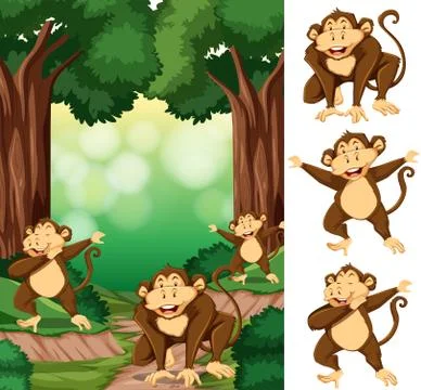 Group of monkey in forest Stock Illustration