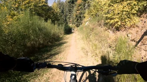 Group mountain biker riding forest path Stock Footage 97044508