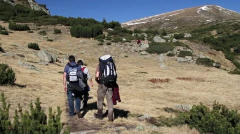 Group of mountain hikers walking Stock Footage 40254643