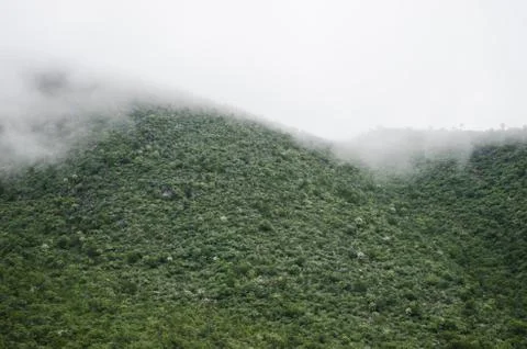 Group of mountains surrounded by haze. Stock Photos