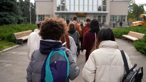 Group of multi-ethnic students walking to school Stock Footage 169648210