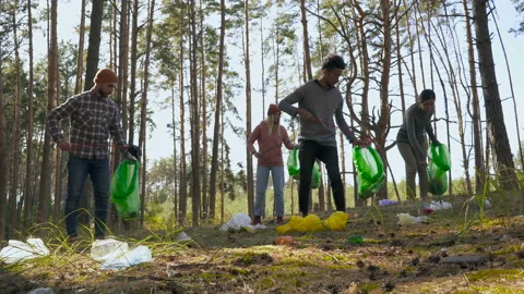 Group of multi ethnical friends cleaning forest from garbage and plastic trash.  Stock Footage 116615193