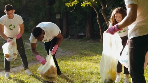 Group of multi-race handsome young people picking up rubbish and cleaning Stock Footage 117632636