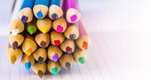 Group of multicolor pencils on white checkbook in a cage , close up shot Stock Photos