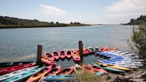 Group of multicolored kayaks at a dock at the Russian River Video stock 79549552