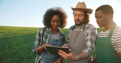Group of multiracial farmers or technologists inspecting field process while Stock Photos