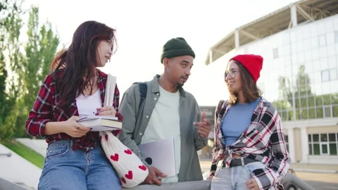 Group of multiracial students chatting and enjoying a sunny day on campus with Stock Footage 303251107