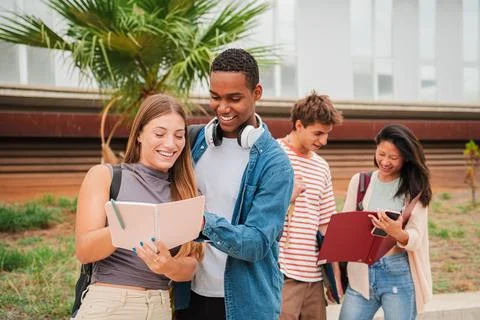 A group of multiracial students looking at their notes and talking about th.. Stock Photos