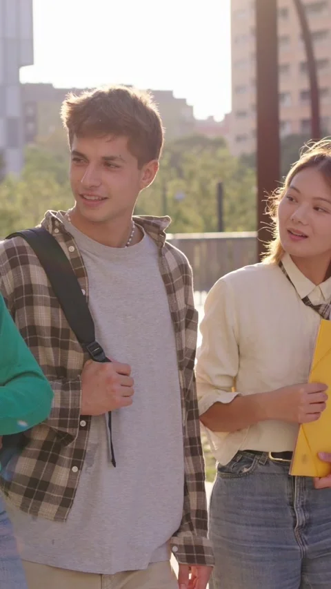 Group of multiracial young men and women walking embracing smiling and happy Stock Footage 262194713
